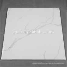 24X24 selecciones de estilo de porcelana esmaltada